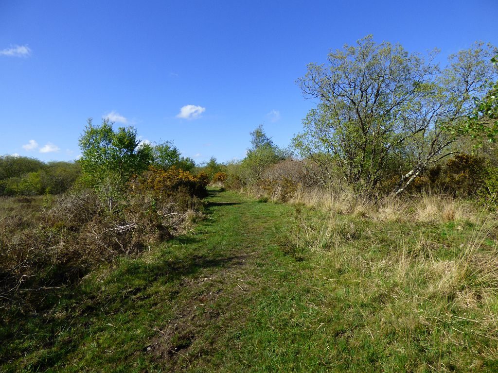 Open heathland on Goss Moor National Nature Reserve near Bugle